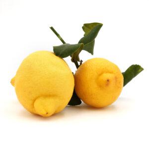 Limoni di Sicilia