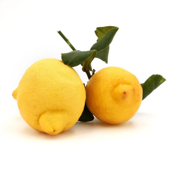 Limoni di Sicilia
